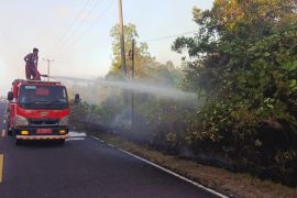 Pemkab Natuna padamkam kebakaran lahan seluas 17 hektare