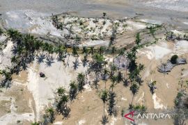 Satgas PRR rehabilitasi ribuan hektare sawah terdampak bencana