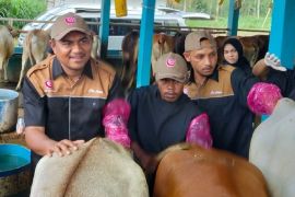 Gerakan Senator Inseminator dorong IB wujudkan swasembada daging