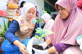 Alfamidi ajak nasabah Bank Sampah olah sampah sachet dan tanam pakai galon bekas