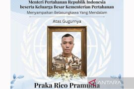 Qatar sampaikan belasungkawa atas gugurnya anggota TNI Praka Rico di Lebanon