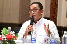 Anggota DPR: Bali harus jaga keseimbangan antara ekonomi dan lingkungan