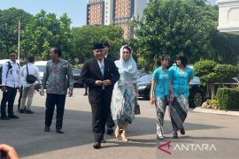 Reshuffle kabinet, Dudung, Jumhur, hingga Hasan Nasbi tiba di Istana