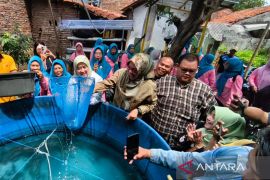 DKP3 menyebutkan program tani ternak satu padu cocok di Cirebon