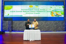 Pemprov-Kementan kembangkan lahan sawah baru di Papua