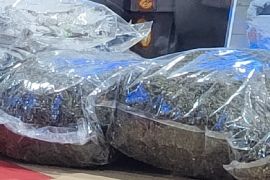 Polisi tangkap 21 pengedar narkotika di Jayapura selama triwulan pertama