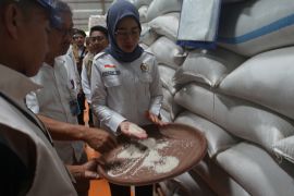 Ketua Komisi VI DPR sebut kualitas beras Bulog baik