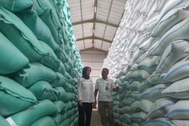 Bulog target salurkan 893 ribu ton beras SPHP pada 2026