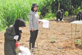 BBRMP Maluku uji kompetensi siswa pertanian di Ambon