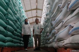 Cadangan beras Bulog 2026