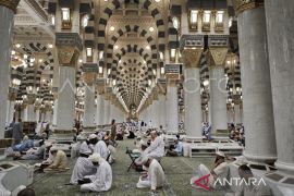 Jamaah lansia tak perlu paksakan diri shalat Arbain di Nabawi