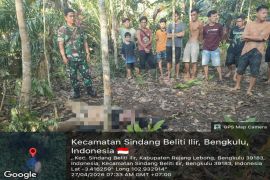 Kronologi bocah 4 tahun nyaris diculik, pelaku tewas dihakimi massa