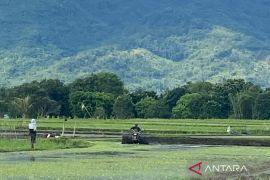 Pupuk Kujang pastikan pupuk subsidi tersedia di Garut saat kemarau