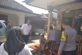 Mataram mengimbau waspada potensi gigitan anjing liar antisipasi rabies