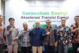 DEN: Transisi energi jadi strategi untuk kemandirian nasional