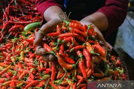 Senin harga cabai rawit merah Rp62.300/kg, telur ayam Rp35.150/kg