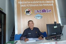 Disnakan Bojonegoro cek kesehatan hewan kurban jelang Idul Adha
