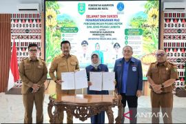 Pemkab Madina gandeng UMA bangkitkan Pisang Kepok