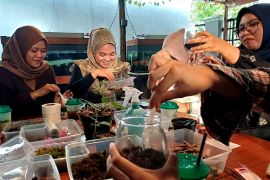 Tren hobi baru terrarium di Sampit punya peluang ekspor