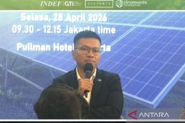Danantara soroti kesiapan industri lokal dalam pengembangan EBT