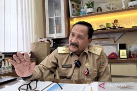 DPKP Kalsel kembangkan porang 127 hektare untuk diversifikasi pangan