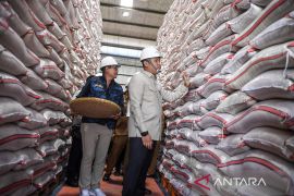 Wakil Menteri Pertanian tinjau gudang Bulog di Ciamis