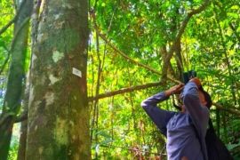 Operasi Tambang sempat dihentikan, Patroli Hutan PTAR tetap berjalan di Batang Toru