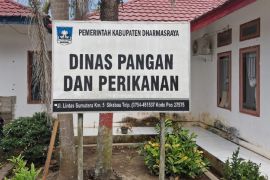 Pemkab Dharmasraya : penyaluran bantuan pangan sudah 7.877 penerima