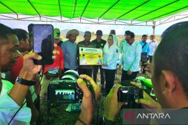 Bupati Natuna bagikan bantuan pupuk dan pestisida ke petani Batubi