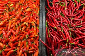 PIHPS: Harga cabai rawit Rp54.300/kg, telur ayam Rp31.200/kg