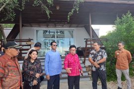 DPRD Bali merekomendasi tutup vila di atas mangrove