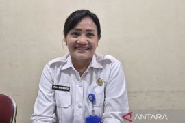 Provinsi Jambi terima 12 sapi kurban bantuan Presiden Prabowo Subianto