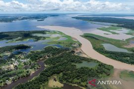 Deforestasi Amazon di Brasil turun 17 persen pada Q1 2026