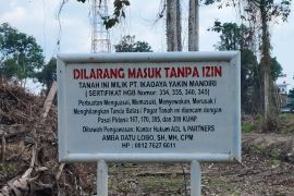 Pembersihan lahan di jantung Kota Siak picu polemik, terungkap ternyata HGB perusahaan
