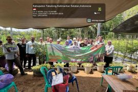 UPTD BPTPH Tabalong edukasi petani Desa Maburai atasi hama tanaman