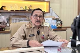 DPKP Kalsel siapkan 60.000 bibit cabai tekan inflasi pangan daerah