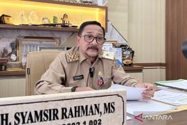 South Kalimantan develops analog rice to reduce rice dependence