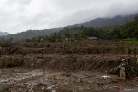 Sumbar pusatkan gerakan tanam serentak nasional di Agam
