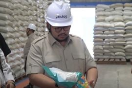 Anggota DPR RI sebut Bulog Malang serap beras petani secara optimal