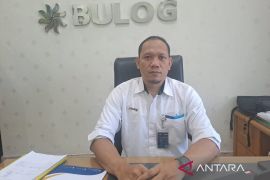 Bulog Bangka pastikan stok beras cukup hingga empat bulan