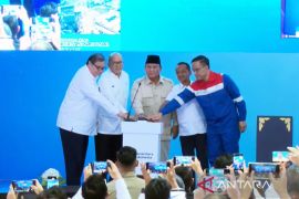 Genjot hilirisasi, Prabowo mulai pembangunan 13 PSN