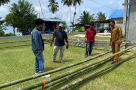 DKP kembangkan budi daya rumput laut di perairan Simeulue