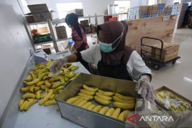 Spektrum - Hidangan yang jadi fondasi awal perjalanan panjang ke Tanah Suci