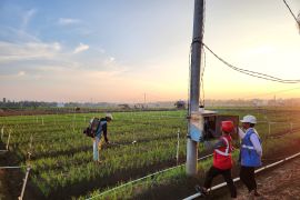 Adanya listrik ternyata bisa tingkatkan produktivitas bawang di Bone