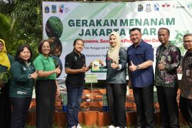 Wali Kota ajak warga manfaatkan lahan kosong&nbsp;untuk ketahanan pangan