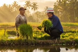Hutama Karya rampungkan rehab Saluran Irigasi Beo di Talaud Sulut