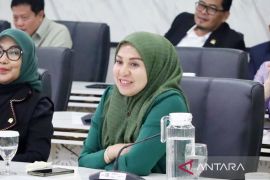 DPR usul gelar razia nasional berantas "daycare" ilegal