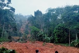 Sawah dan kebun warga terdampak longsor di Lebak