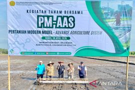 BRMP Kalsel tanam perdana PM-AAS percepat modernisasi pertanian