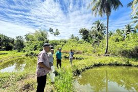 PLN UIP3B Sumatera Siap Salurkan Electrifying Agriculture, Harapan Baru Pembudidaya Ikan di Padang Pariaman